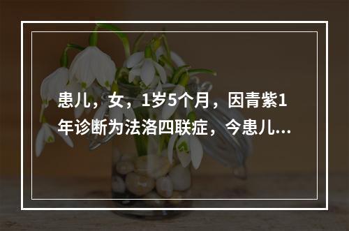 患儿，女，1岁5个月，因青紫1年诊断为法洛四联症，今患儿哭闹