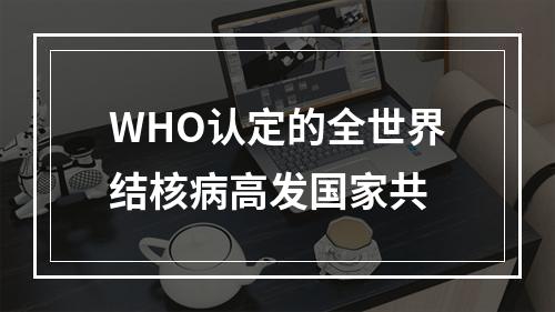 WHO认定的全世界结核病高发国家共