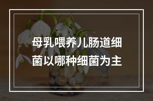 母乳喂养儿肠道细菌以哪种细菌为主