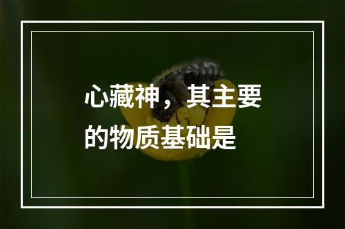 心藏神，其主要的物质基础是