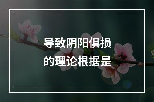 导致阴阳俱损的理论根据是