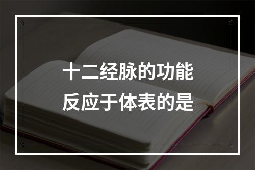 十二经脉的功能反应于体表的是