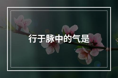 行于脉中的气是