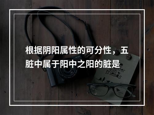 根据阴阳属性的可分性，五脏中属于阳中之阳的脏是