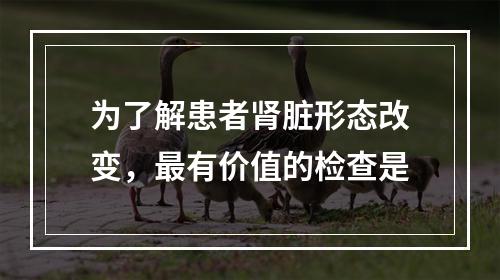 为了解患者肾脏形态改变，最有价值的检查是