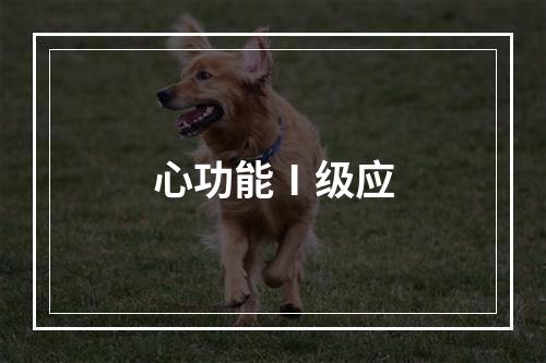 心功能Ⅰ级应