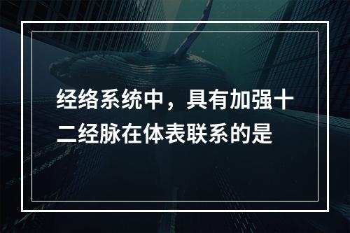 经络系统中，具有加强十二经脉在体表联系的是