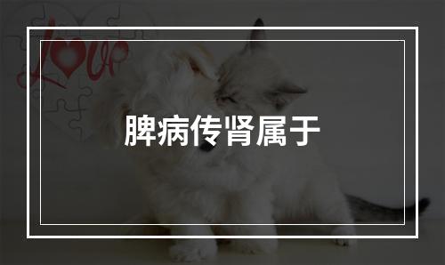 脾病传肾属于