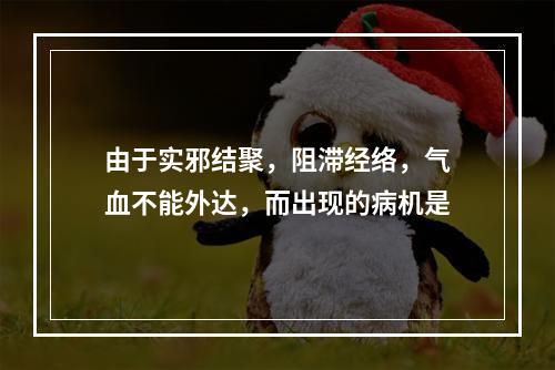 由于实邪结聚，阻滞经络，气血不能外达，而出现的病机是