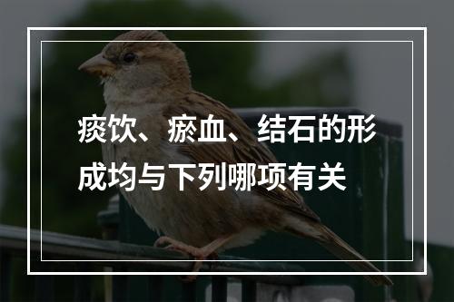 痰饮、瘀血、结石的形成均与下列哪项有关