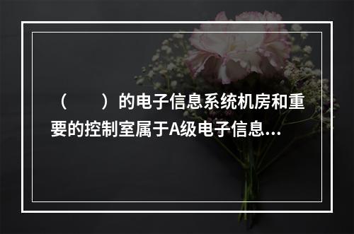 （  ）的电子信息系统机房和重要的控制室属于A级电子信息机房