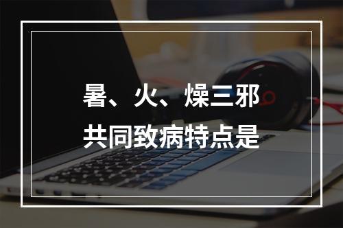 暑、火、燥三邪共同致病特点是