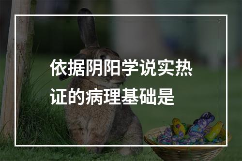 依据阴阳学说实热证的病理基础是