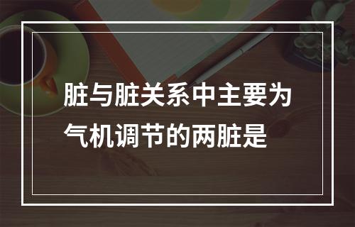 脏与脏关系中主要为气机调节的两脏是