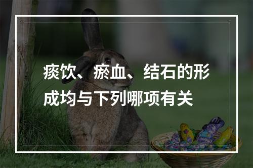 痰饮、瘀血、结石的形成均与下列哪项有关