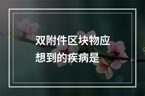 双附件区块物应想到的疾病是