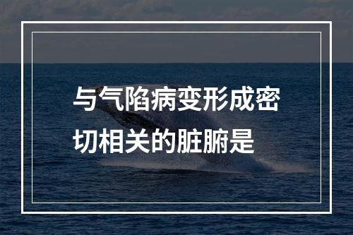 与气陷病变形成密切相关的脏腑是