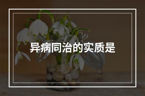 异病同治的实质是