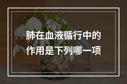 肺在血液循行中的作用是下列哪一项