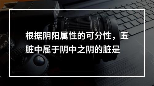 根据阴阳属性的可分性，五脏中属于阴中之阴的脏是