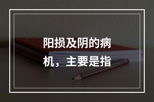 阳损及阴的病机，主要是指