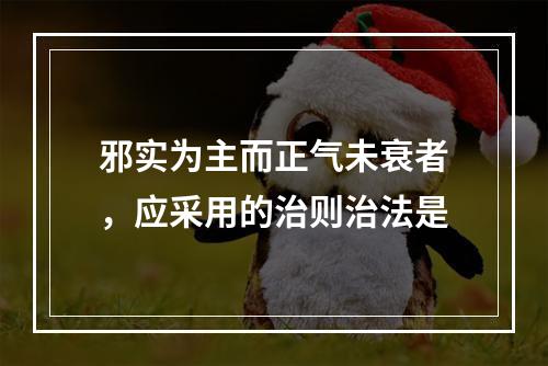 邪实为主而正气未衰者，应采用的治则治法是