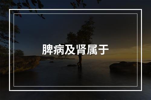 脾病及肾属于