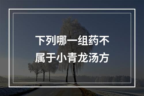 下列哪一组药不属于小青龙汤方