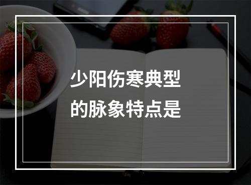 少阳伤寒典型的脉象特点是