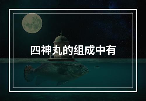 四神丸的组成中有