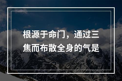 根源于命门，通过三焦而布散全身的气是