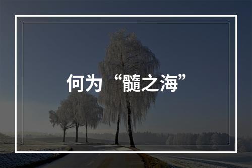 何为“髓之海”