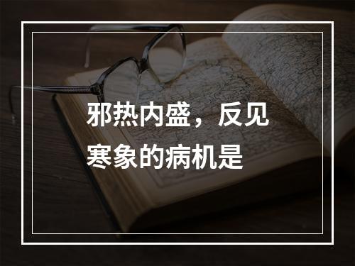 邪热内盛，反见寒象的病机是