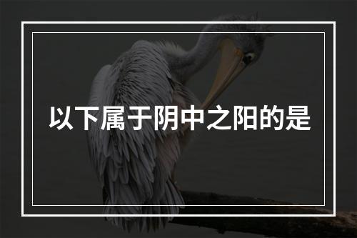 以下属于阴中之阳的是