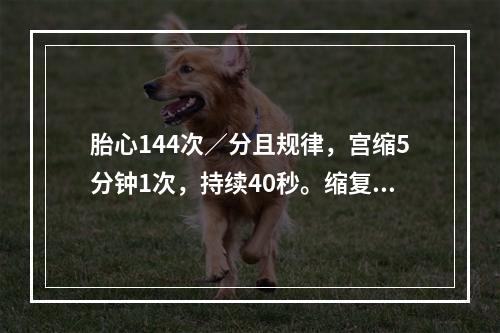 胎心144次／分且规律，宫缩5分钟1次，持续40秒。缩复环在