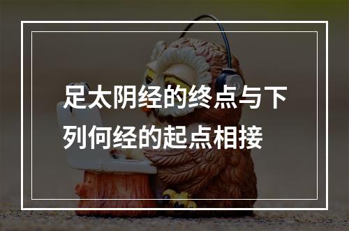 足太阴经的终点与下列何经的起点相接