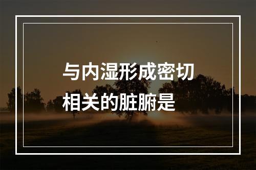 与内湿形成密切相关的脏腑是