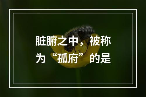 脏腑之中，被称为“孤府”的是