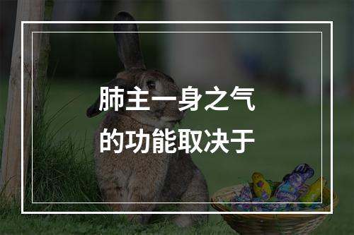 肺主一身之气的功能取决于