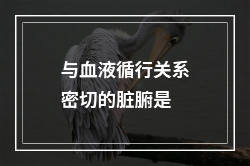 与血液循行关系密切的脏腑是