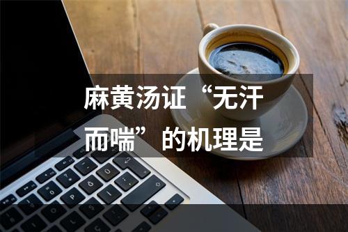 麻黄汤证“无汗而喘”的机理是