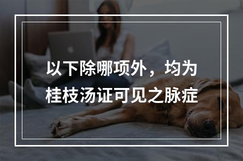 以下除哪项外，均为桂枝汤证可见之脉症