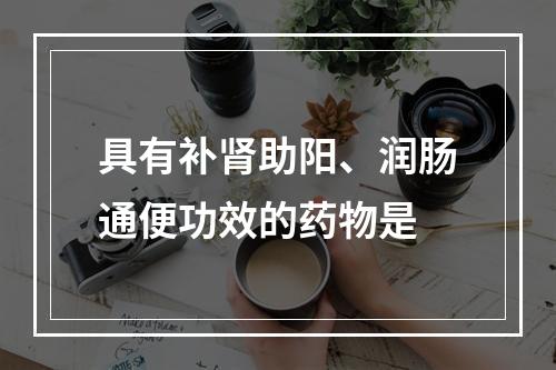 具有补肾助阳、润肠通便功效的药物是