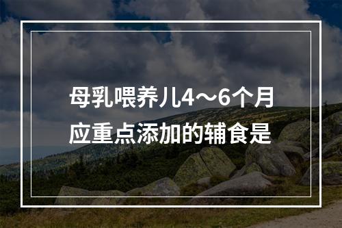 母乳喂养儿4～6个月应重点添加的辅食是