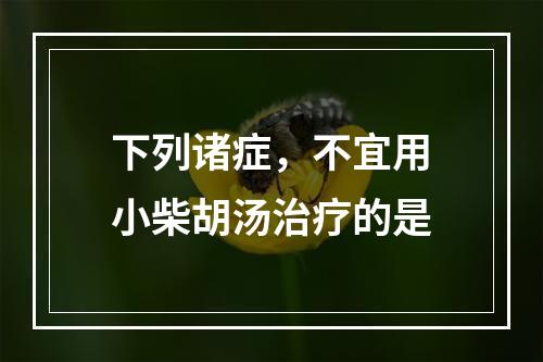 下列诸症，不宜用小柴胡汤治疗的是