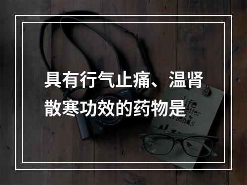 具有行气止痛、温肾散寒功效的药物是