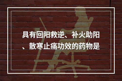 具有回阳救逆、补火助阳、散寒止痛功效的药物是