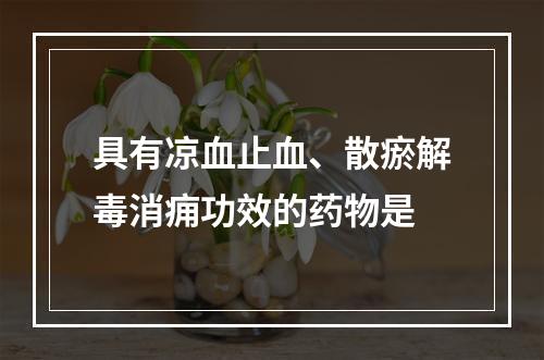 具有凉血止血、散瘀解毒消痈功效的药物是