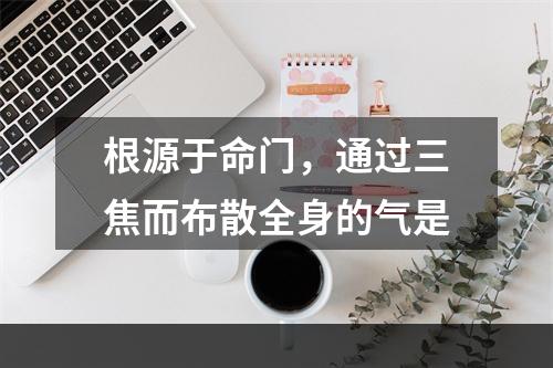 根源于命门，通过三焦而布散全身的气是