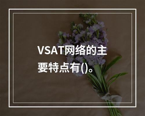 VSAT网络的主要特点有()。